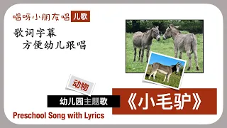 【SingKindiesSing】经典儿歌《小毛驴》节奏欢快 适合边唱边打拍子 有趣好玩｜歌词字幕 方便幼儿跟唱 Preschool Chinese Song with Lyrics