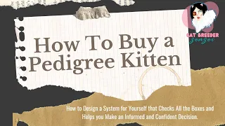 CAT BREEDERS: How To Buy a Pedigree Kitten for Your Cattery