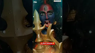 🪔Cg Navratri 🪔Coming Soon 🚩🚩🚩🚩Aama Paan Ke Patri Karela Pan Ke Dona..full Screen 4K New  Status