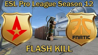 УБИЛИ ФЛЕШКОЙ! es3tag FLASH grenade KILL KRIMZ | Astralis vs Fnatic Nuke | ESL Pro League 12