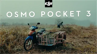 Shot on DJI OSMO Pocket 3 - Cinematic Nature Film 4K [ Thailand ]