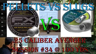 Pellets vs Slugs | 100 Yards | Session #34 | .25 Avenger BP