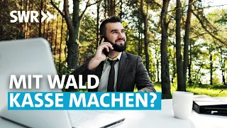 Wie viel ist ein Hektar Wald in Wirklichkeit wert? | SWR Wissen