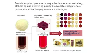 Health Effects of Phytochemicals from Foods