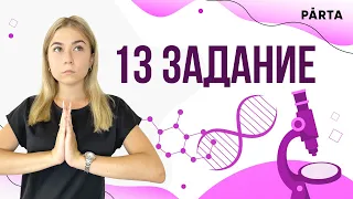 Задание 13 | PARTA ОГЭ ХИМИЯ 2023