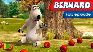 Bernard Bear - 84 - The apple tree | Full episode |
