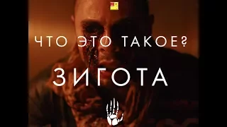 Зигота - что это такое? / Oats Studios - What is Zygote (русский язык) BadBajo