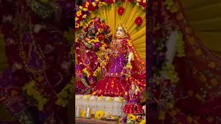 Jaya Radhe Shyam - New Vraja-dhama (Hungary) 15 May 2022