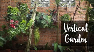 How to make a Vertical Garden: Full DIY Guide with Design Tips, Materials and Plant Choice