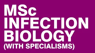 University of Glasgow, MSc Infection Biology