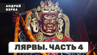 Лярвы. Энергетические вампиры. Часть 4