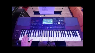 Czerwone Gitary - Lecz tylko na chwilę cover Łukasz Korg Pa - 1000