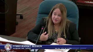 36th Guam Legislature FY2023 Budget Session - August 29, 2022 AM