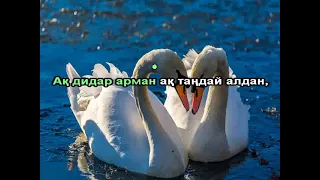 Аққу арман караоке