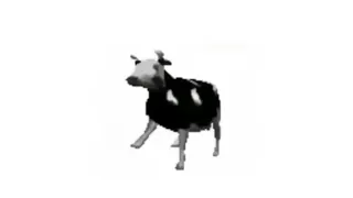 Polish cow but reversed