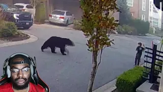 7-YEAR-OLD ENCOUNTERS MASSIVE BEAR WHILE RIDING SCOOTER!!😳| KxbieTv Reaction