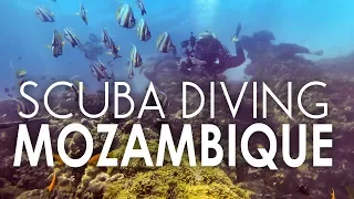 Scuba Diving Bazaruto Island in Mozambique