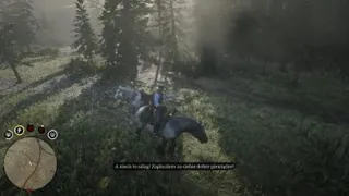 Big mistake during horse race [RDR2]