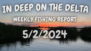 The In Deep On The Delta Weekly Fishing Report For 5/2/2024.