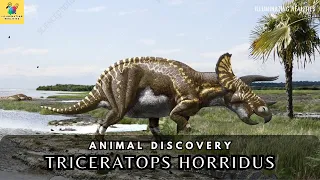 Triceratops Horridus: Unveiling the Majestic Behemoth of the Cretaceous