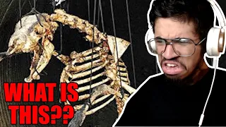 The Nickelodeon Movie The Used Real Bones - Lost Media Case Files (Reaction)