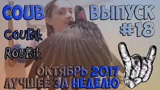 Лучшее видео по версии COUBik за неделю Октябрь 2017 Выпуск #18