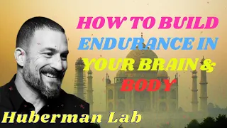 How to Build Endurance in Your Brain & Body II Huberman Lab