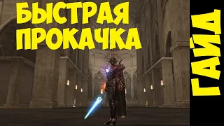 [ГАЙД] КАК БЫСТРО ПРОКАЧАТЬСЯ В LINEAGE 2 ESENCE С ФИШКАМИ НА БОЛЬШОЙ EXP Lineage 2 Essence IMSTAFF