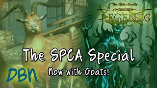 "The SPCA Special" - Animal Monk - The Elder Scrolls: Legends