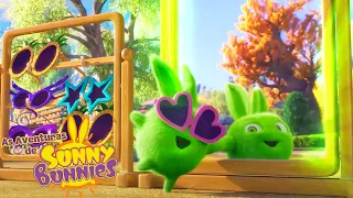 reflexão engraçada | As Aventuras de Sunny Bunnies | Desenhos Animados Infantis