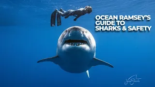 Ocean Ramsey Wants to Teach You Everything She Knows About Sharks - The Inertia