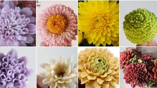 국화 꽃짜기 모음(2)  Chrysanthemum flower piping technique