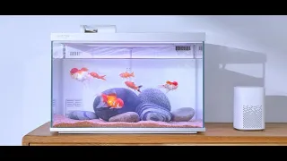 Умный аквариум Descriptive geometry S600 Smart module ecological fish tank