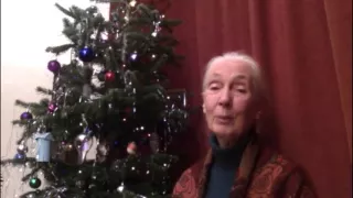 End of Year Message from Dr. Jane Goodall