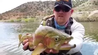 Fly Fishing  The Fremont River Utah