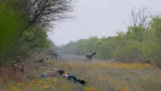 Wildlifers TV S5 | E12 "South Texas Nilgai"