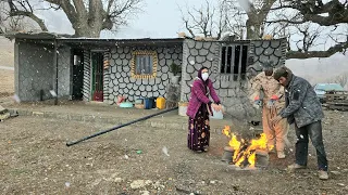 Planting tree saplings in the yard of Narges and her young children