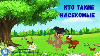 Кто такие насекомые?