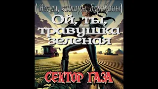 Ой, ты, травушка зеленая (вокал, гитары, барабаны)