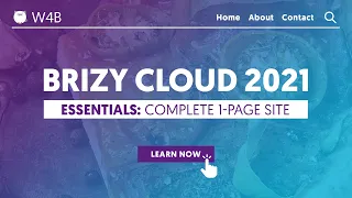 Brizy Cloud 2021 Essentials 4 Beginners | Make a website in Brizy Cloud from scratch! Step by Step.