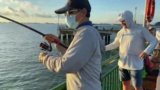 Bedok Jetty, Giant Cobia, incredible fight, but escaped in the end