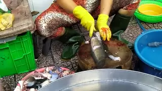 skillful worker in the fish market in vietnam