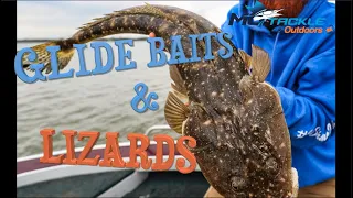 Swim baits and glide baits for big Flathead