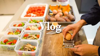 [19] 나를 위한 일주일 샐러드와 가족들을 위한 음식 | 밀프랩 | 샐러드 | 양다리통구이 | 오므라이스 | 단호박튀김 | 주부브이로그 | 살림브이로그