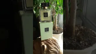 Little Black Dress Eau Fraiche 🔥 Avon Женская Парфюмерная вода Эвон духи парфюмерная  🔥