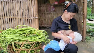 Harvesting The Gean Garden To Sell At The Market, 17 YEAR OLD single mother