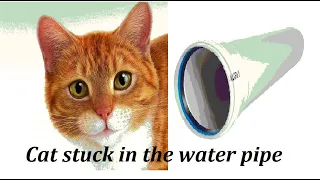 Cat stuck in the water pipe