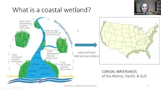 Sustaining Coastal Wetlands in a Time of Severe Storms and Rising Seas