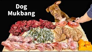Best Dog MUKBANG PITBULL EATING RAW FOODS