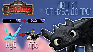 Проект "от нуба до про" в School of dragons